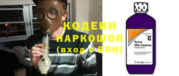 ГАЛЛЮЦИНОГЕННЫЕ ГРИБЫ Абаза
