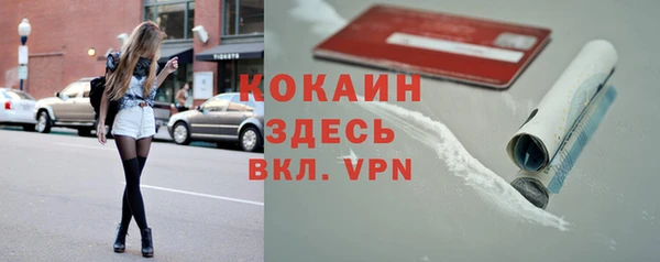 ГАЛЛЮЦИНОГЕННЫЕ ГРИБЫ Абаза