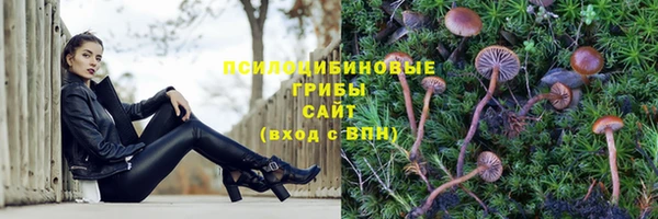 трава Абдулино