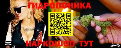 молекула духа Славянск-на-Кубани