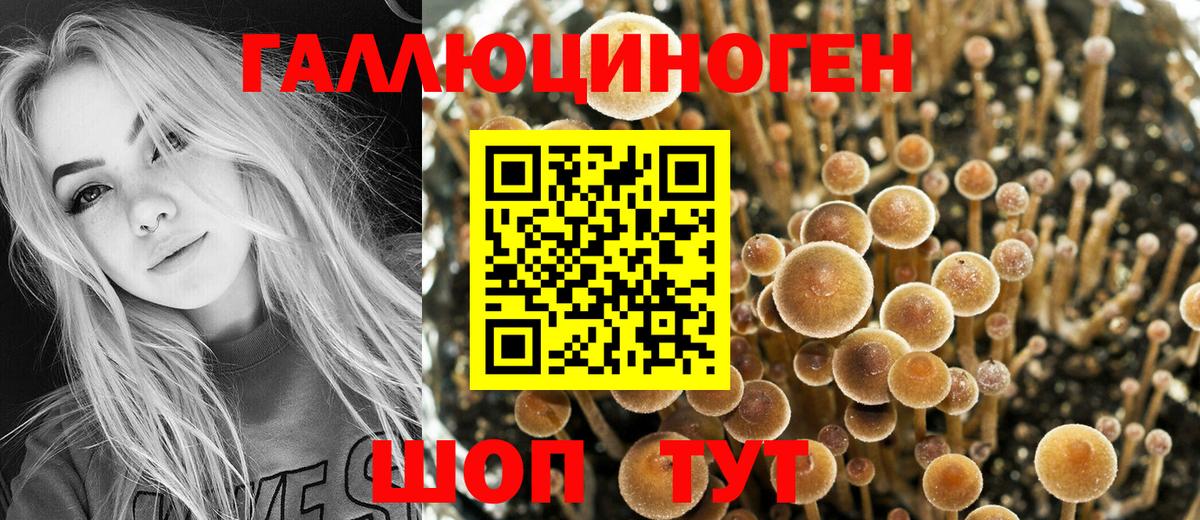 Галлюциногенные грибы мухоморы  Вход с VPN  Подольск 