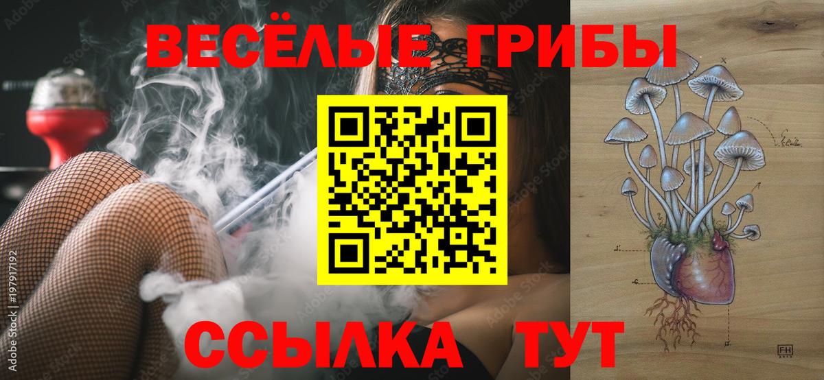 Галлюциногенные грибы MAGIC MUSHROOMS Подольск